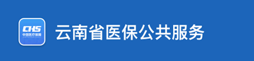 云南医保公共服务平台·网上服务大厅